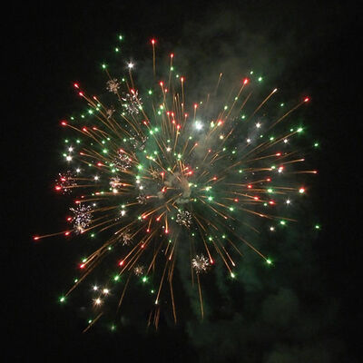 Liuyang Mandarin 60 Shots Cake Fireworks Import Chinese Pyrotechnics Christmas New Year Fire Works Fireworks Batteries 1.3G