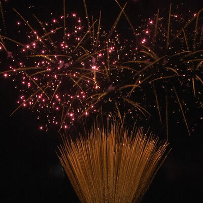 1.2 Inch 100 Shots Cake Fireworks 1.3G Professional UN0335 Certified Pyrotechnics for Outdoor Celebrations