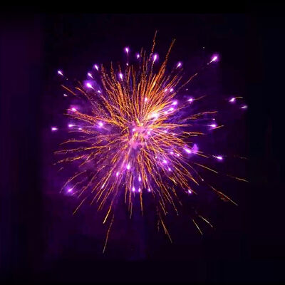 1.3G Professional Pyrotechnics Fireworks Display Cake with 96 Shots and Customizable Effects for Global Market