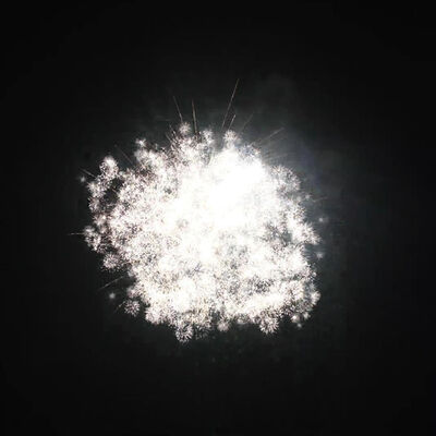 Factory Wholesale 2 Inch 25 Shots Cake Fireworks Battery 1.3g Professional Pyrotechnics Cake For Christmas