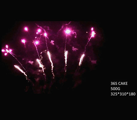 High Quality 36 Shots 500G Cake Fan Shape Fireworks Wholesale Liuyang Fireworks From China