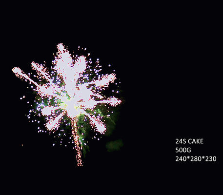 Liuyang 24 Fireworks Shots 500G Cake With High Quality Provided Pyrotechnics Factory